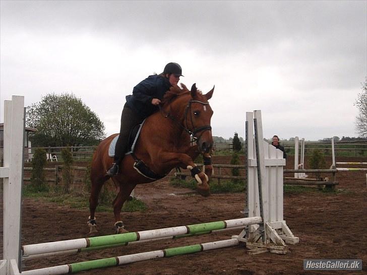 Anden særlig race Mia - <3 Himmelhest <3 - FHL FOTO. Spring 13. maj 2010 billede 12