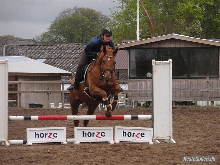 Anden særlig race Mia - <3 Himmelhest <3 - FHL FOTO. Spring 13. maj 2010 billede 13