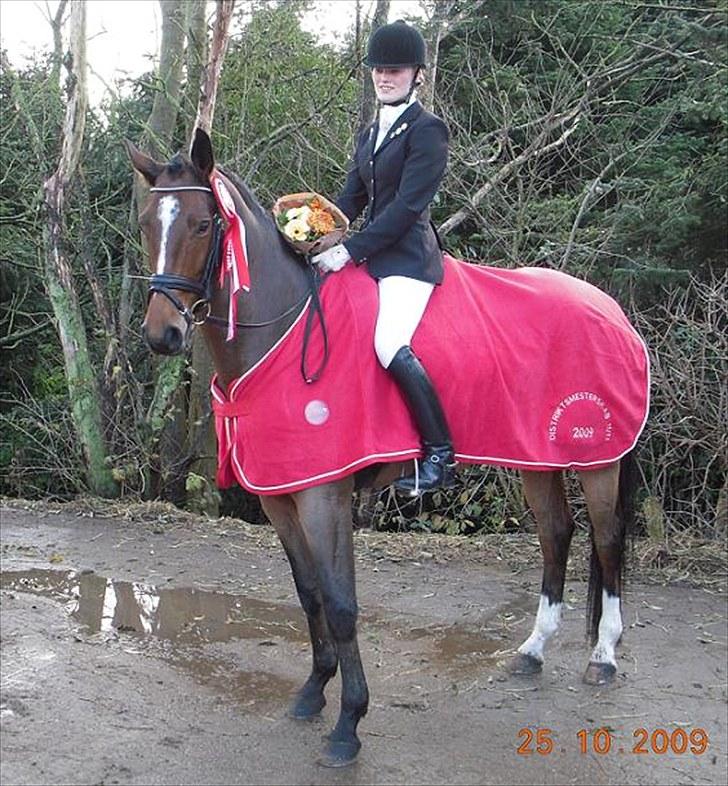 Dansk Varmblod Midt-West Madonna - Vinder af distriktsmesterskabet for ungryttere i distrikt 11/13 2009. billede 11