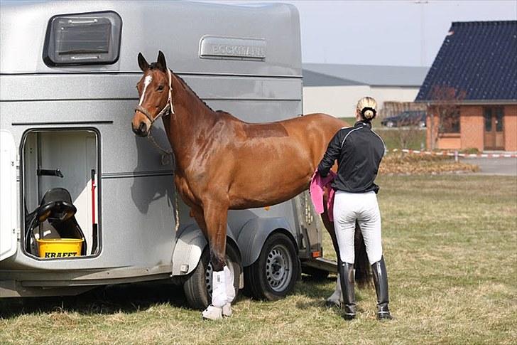 Dansk Varmblod Midt-West Madonna - Distriktsstævne i Grindsted, april 2010. billede 14