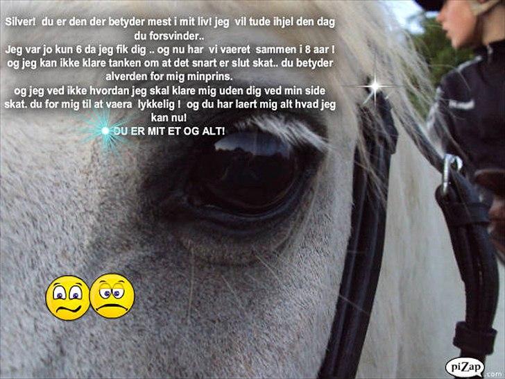 Anden særlig race .» Silver. - HALVPENSION! billede 20