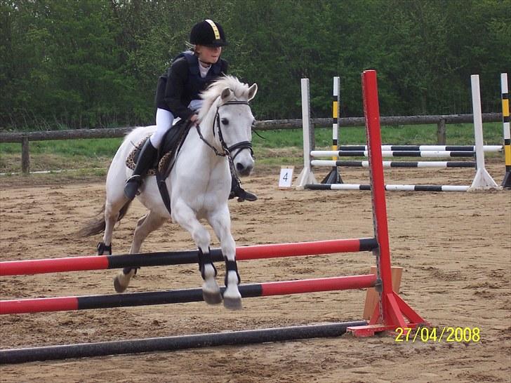 Anden særlig race .» Silver. - HALVPENSION! billede 9