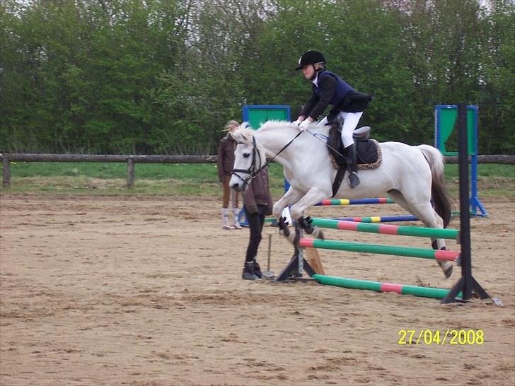 Anden særlig race .» Silver. - HALVPENSION! billede 15