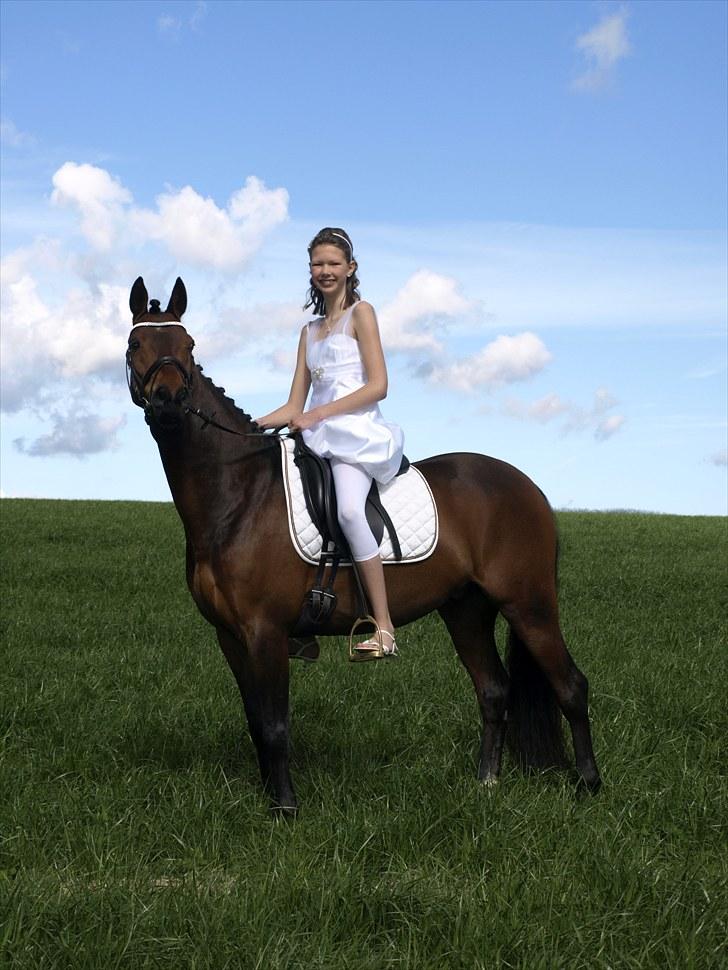 Anden særlig race lucky star billede 16