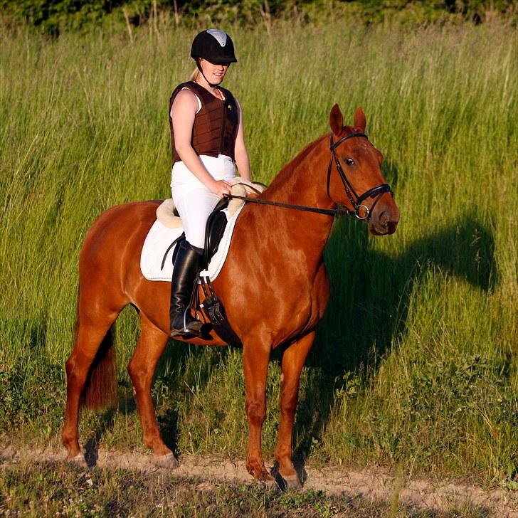 Frederiksborg Lucy - Smukke pigen <´3 billede 1