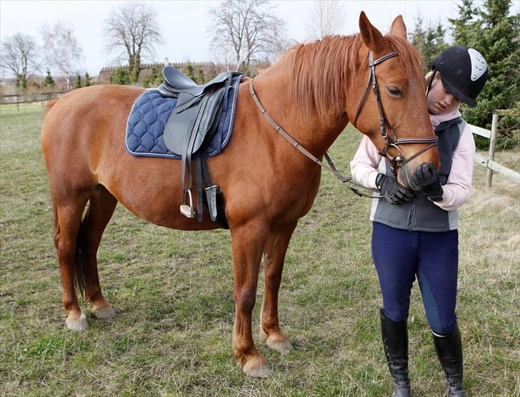 Frederiksborg Lucy - Da jeg var ud eog prøve hende :o) billede 3