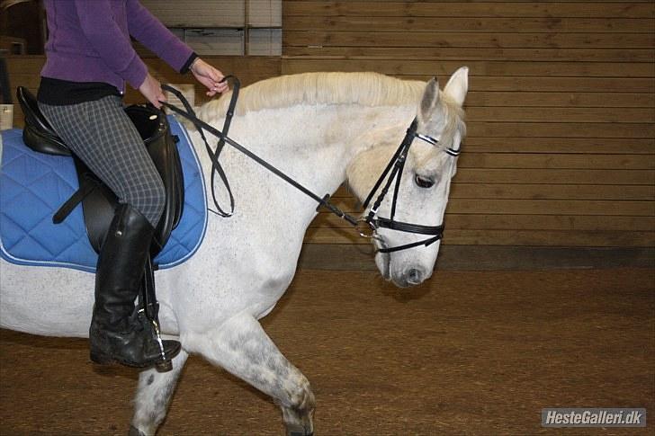 Connemara Rabel'<33 'Solgt'<3 - Så fin hun går :) billede 16