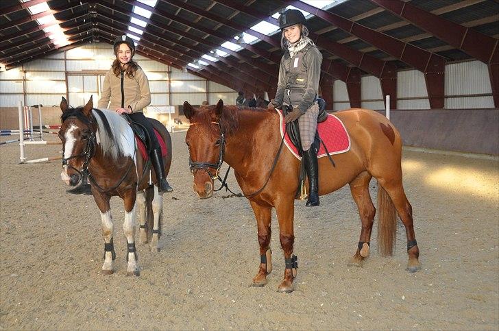 Anden særlig race Miss Anastacia<3  'solgt' :'( - Gabriella og Amigo - Anna og jeg. <3 billede 10