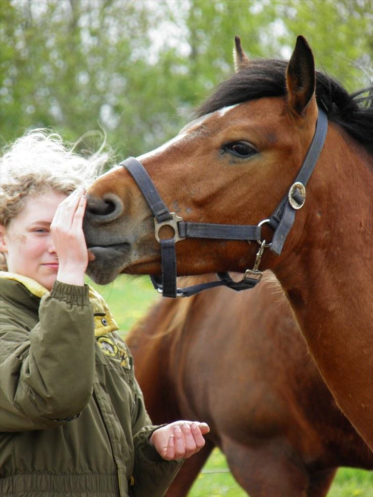 Anden særlig race Ferrari  billede 10