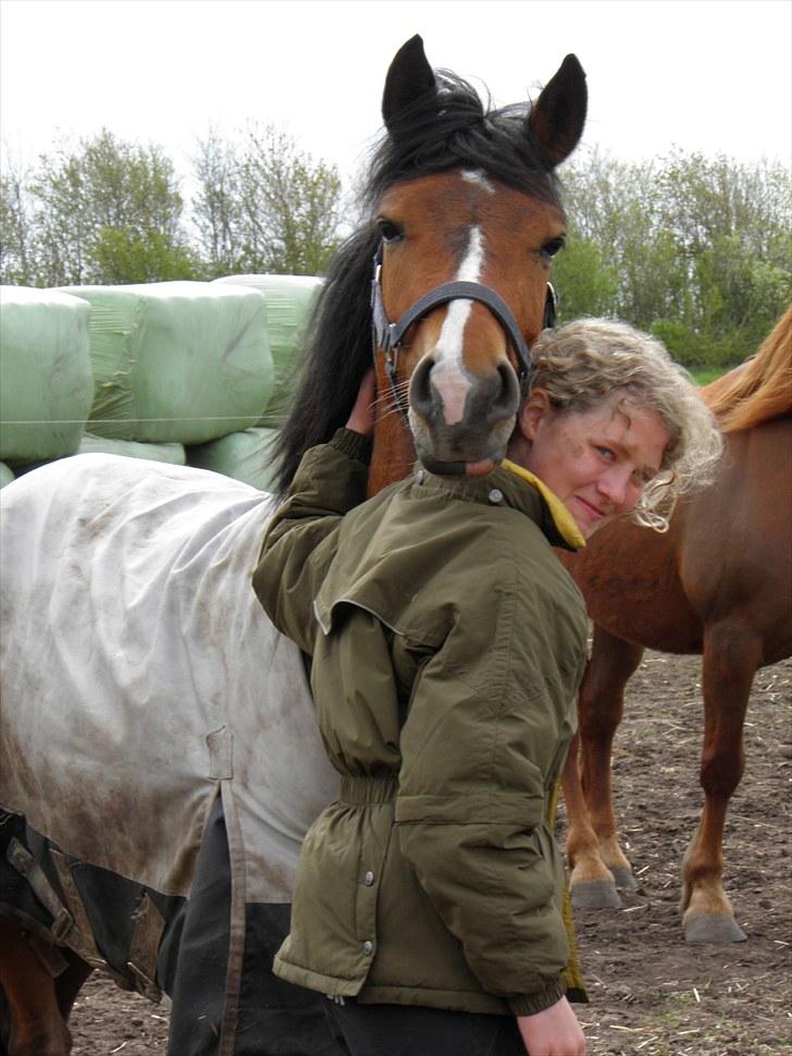 Anden særlig race Ferrari  billede 11