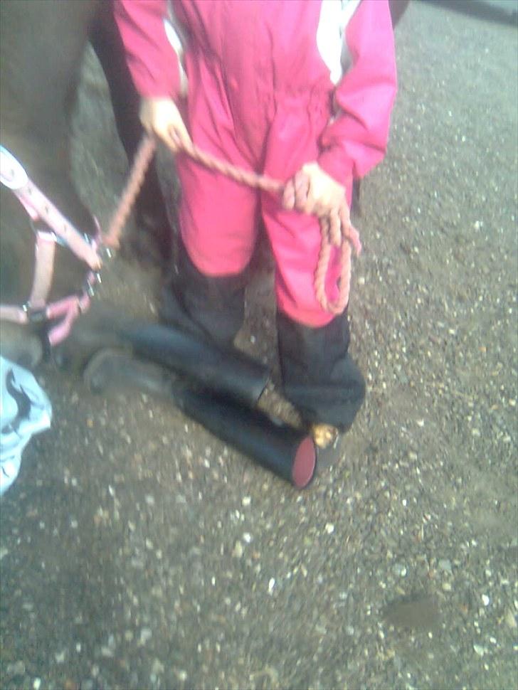 Anden særlig race Bonnie billede 1