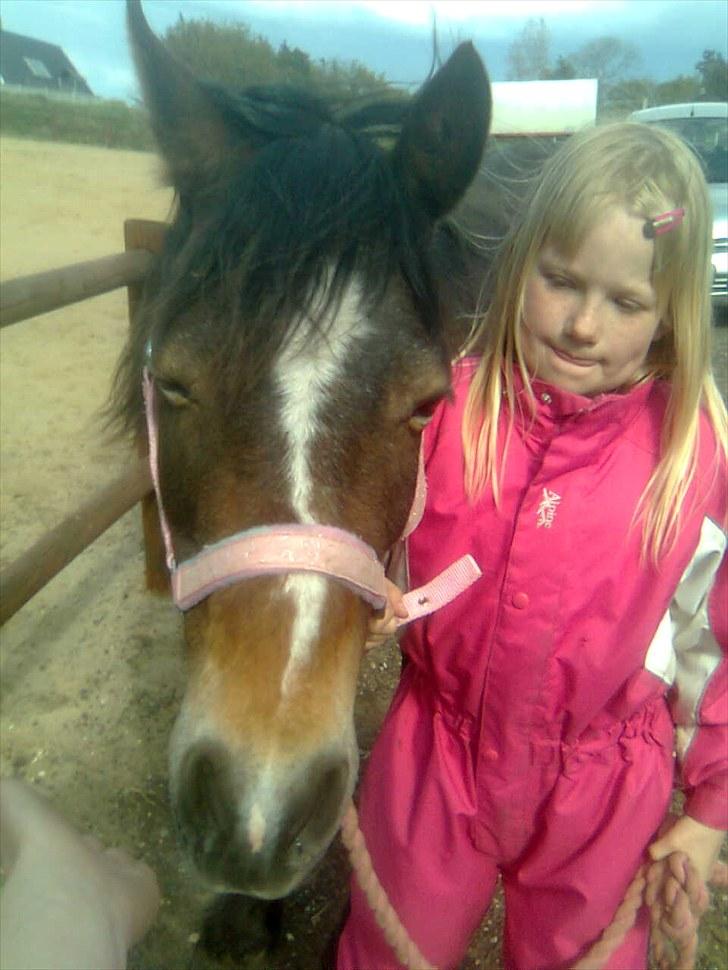 Anden særlig race Bonnie billede 4