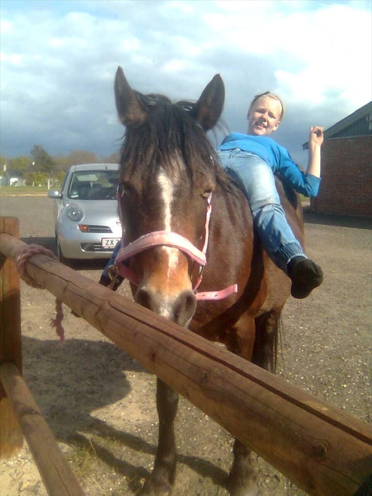 Anden særlig race Bonnie billede 5