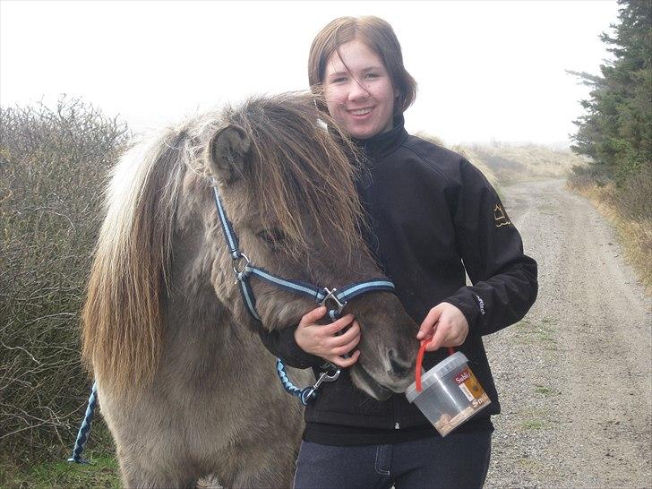 Islænder Mósi frá Lýtingsstöðum - På gåtur med den madglade pony! :-D
Foto - Kathrine billede 20