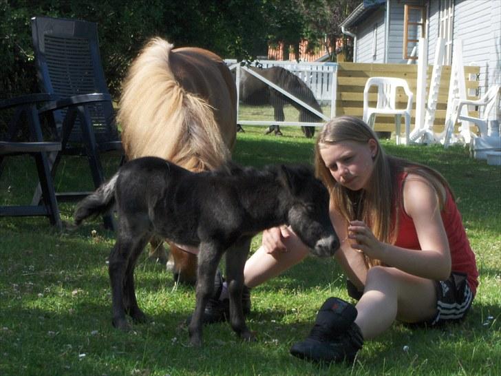 Anden særlig race † Pindstruphavens Turbo † - en dejlig dag ude i haven med lille turbo og sille :D billede 10