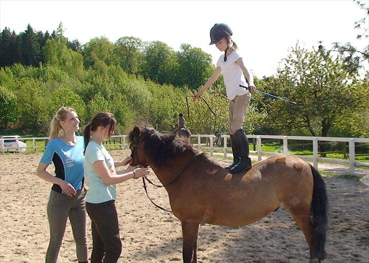 Anden særlig race Buster Larsen <3solgt :.- - denne øvelse kan man ikke klare hvis man ikke stoler på hianden foto min søde mor billede 4