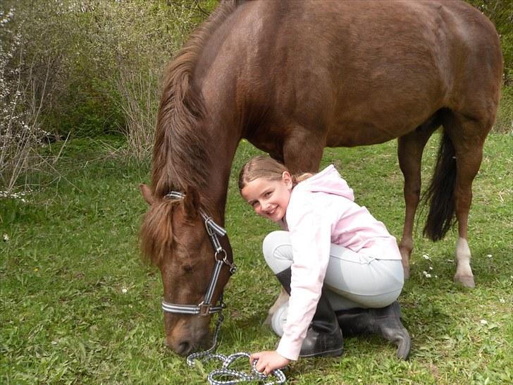 New Forest Simba Grisen <333333 - billed 3: Hvordan kan du være så skøn <3 billede 2