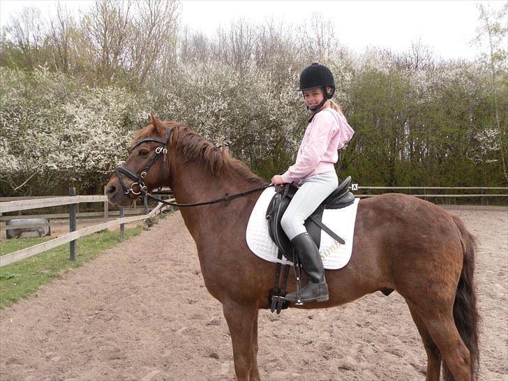 New Forest Simba Grisen <333333 - Billed 5: Du er min engel <3 billede 4