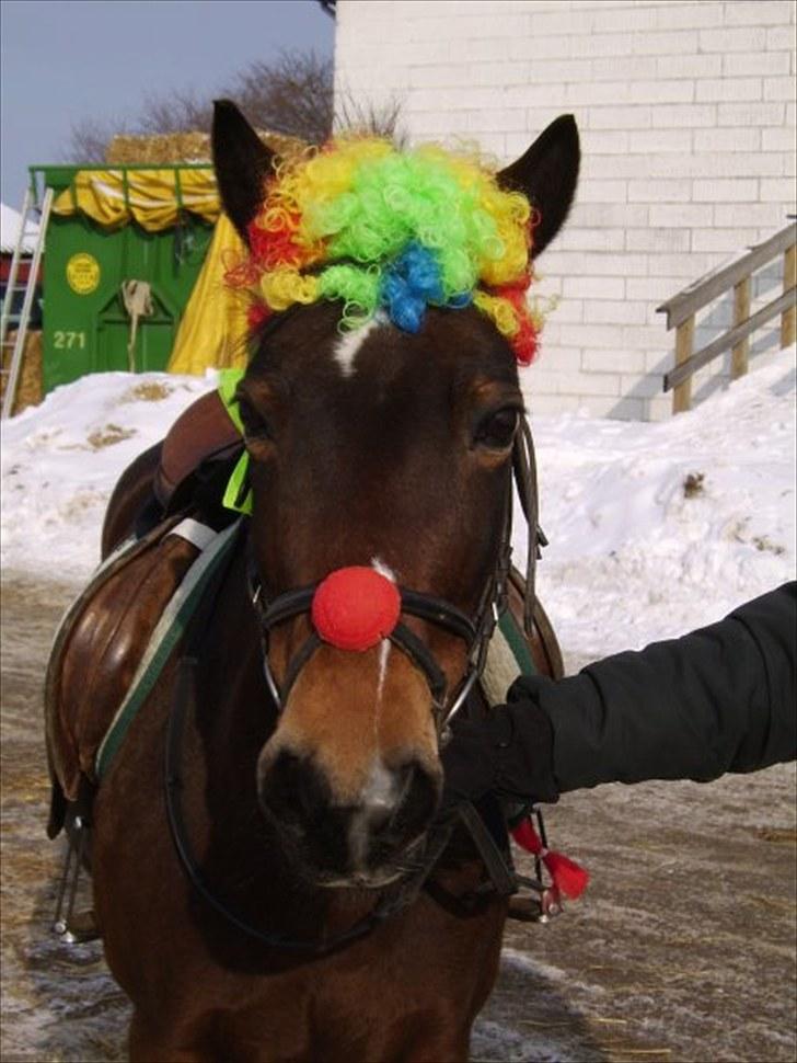 Anden særlig race May Day<3*Gml.part&solgt* - Fordi du er smuk !<3 *Velkommen til May days profil! Læg gerne en bedømmelse&kommentar:D.*   *Foto:Mig* billede 1