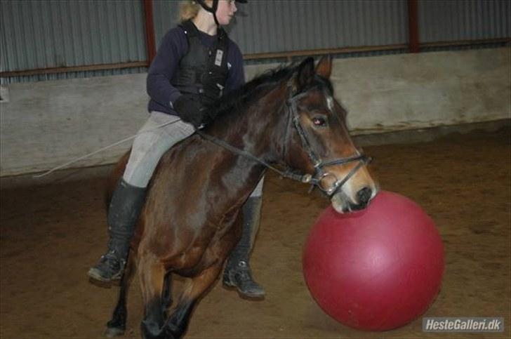 Anden særlig race May Day<3*Gml.part&solgt* - Fordi du er nuttet!<3 *Foto:Ida* billede 3