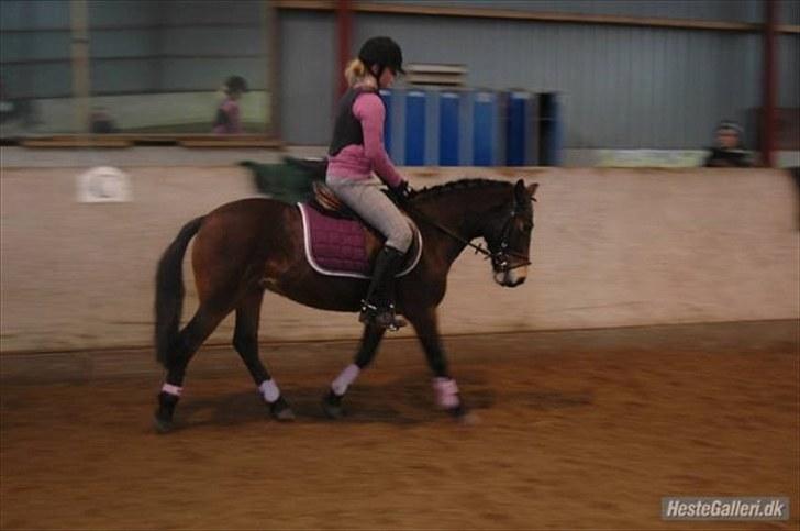 Anden særlig race May Day<3*Gml.part&solgt* - Fordi du er dejlig!<3 *Foto:Rikke* billede 4