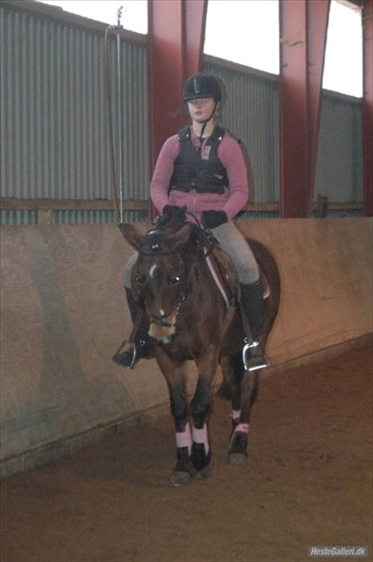 Anden særlig race May Day<3*Gml.part&solgt* - Fordi du kan!<3 *Foto:Rikke* billede 5