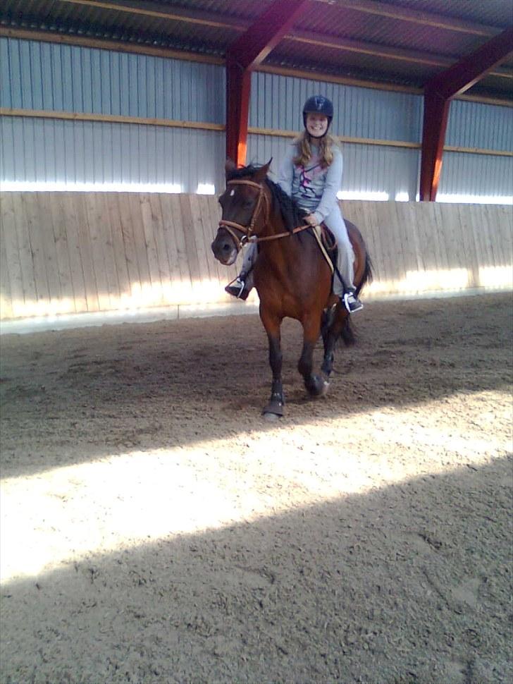 Traver Prim † 12/9-11 † - Prim & Kirstine (min datter) billede 15