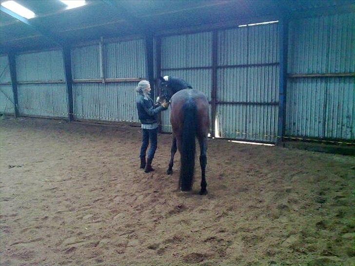 Traver Prim † 12/9-11 † billede 16