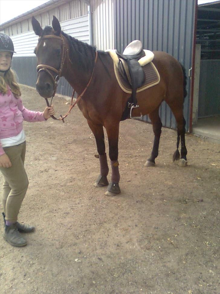 Traver Prim † 12/9-11 † billede 18