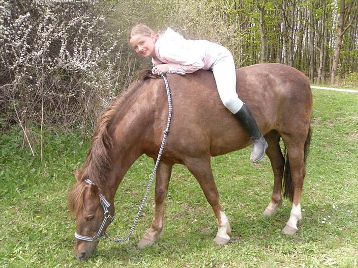 New Forest Simba Grisen <333333 - Billed 6: Fordi man kan stole på dig <3 billede 5