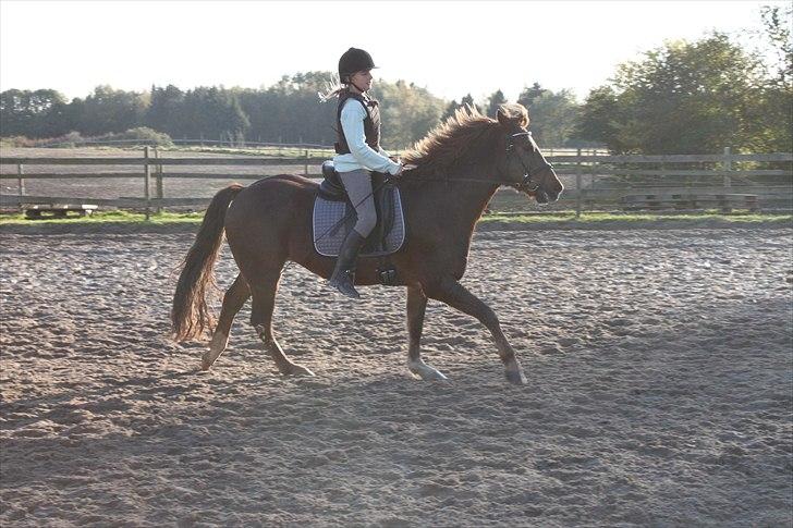 New Forest Simba Grisen <333333 - Billed 7: Fordi jeg elsker dig og fordi jeg ved vi kan :) billede 6