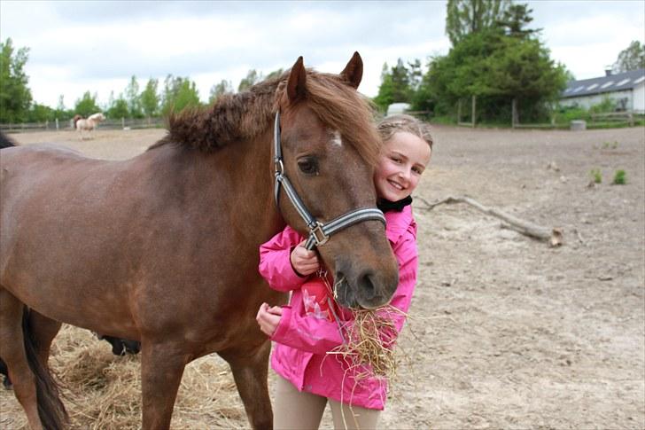 New Forest Simba Grisen <333333 - ´Billed 8: Du er mit alt Grisen <3 billede 7