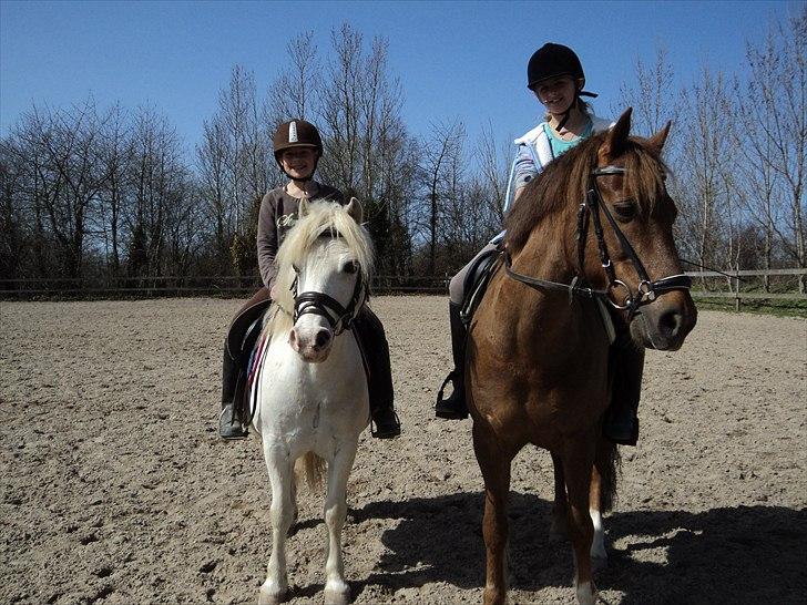 New Forest Simba Grisen <333333 - Billed 9: Dit øje er det pæneste i verden <3 billede 8