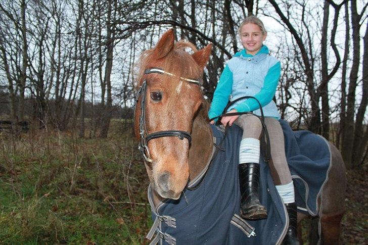 New Forest Simba Grisen <333333 - Billed 10: Du er VERDENS BEDSTE julegave <3 billede 9