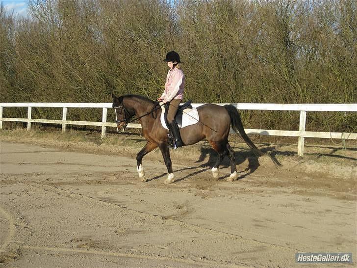 DSP Bitten firhøj - I LOVE YOU<3 billede 3