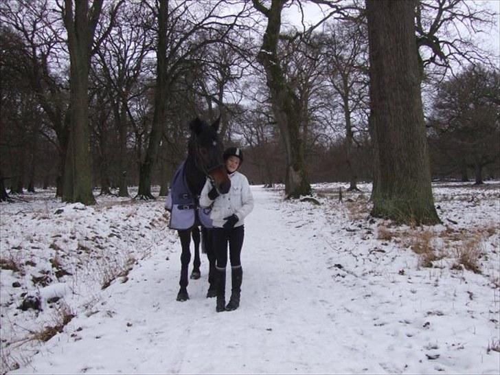 Pinto Berta billede 3