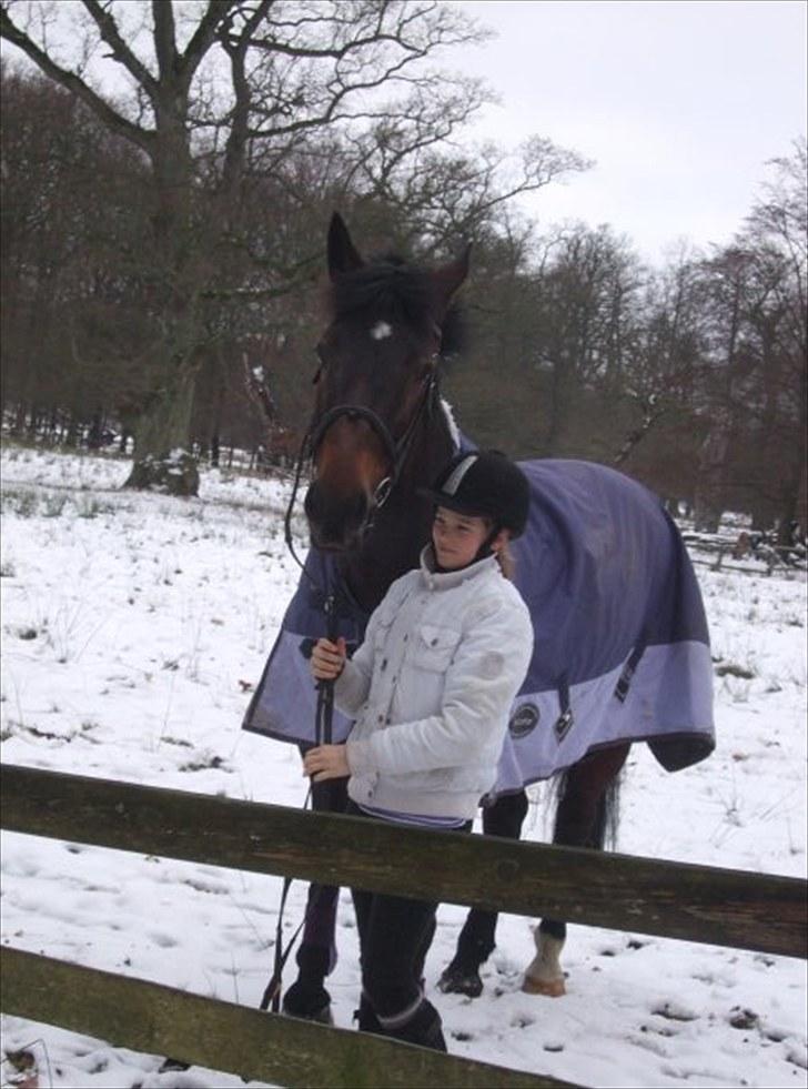 Pinto Berta billede 5