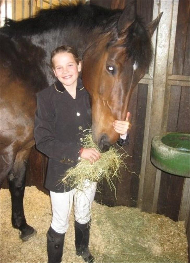 Pinto Berta billede 6