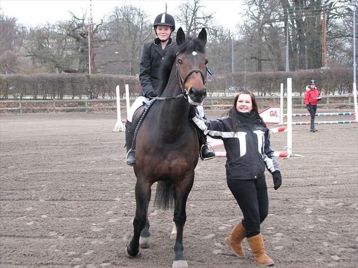 Pinto Berta billede 7