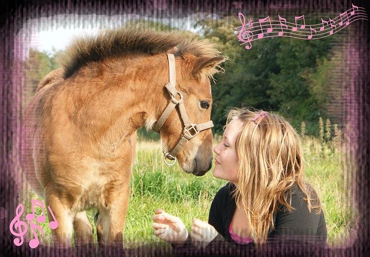 Anden særlig race Vanggaarden's Evermore - Music makes life - you are my inspiration! Du er for dejlig plysdyr! <3 D, 09-08-2010 billede 6