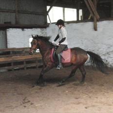 DSP Mølbjerggårds Sephora