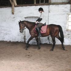 DSP Mølbjerggårds Sephora