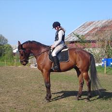 Traver Emir