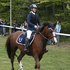 DSP Sønderlunds Asanti( solgt