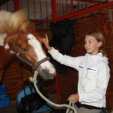 Shetlænder Futte (tidl. redet)