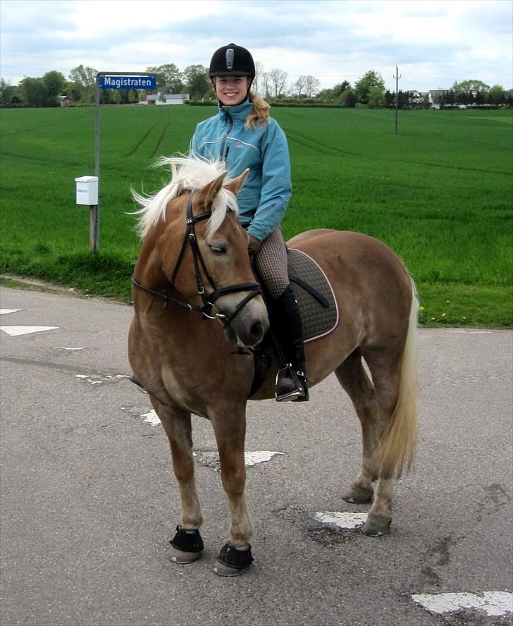 Haflinger Aphrodite Vant Tempelshof - Smukke Aphro og jeg på tur med Fie og Cantos Foto: Fie :D billede 11