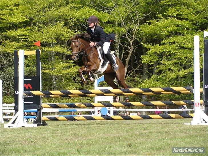 Anden særlig race Maarielunds Fairytale - Morsø 2010 billede 17