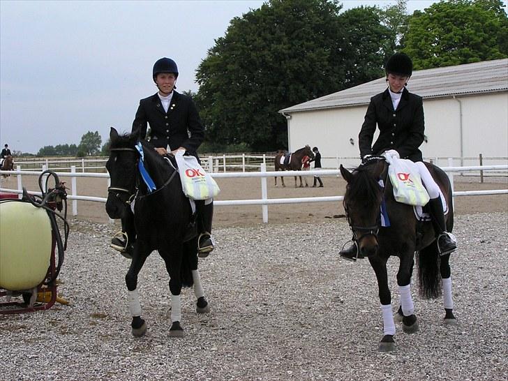New Forest Askebo's Whigfield  - Mig og Wigge får en delt 2 plads i LC2 (sammen med Julie og Hera) billede 14