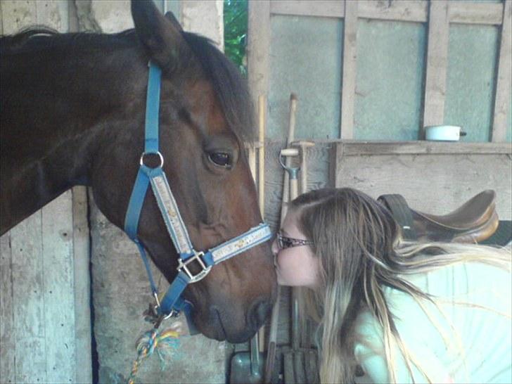 Traver Ibrahim Grau (byttet)  :( - gammelt billede 10