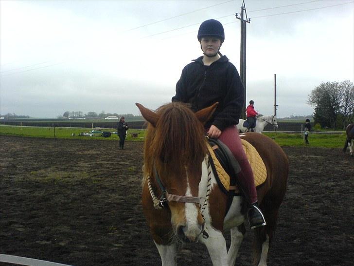 Anden særlig race Shela billede 15